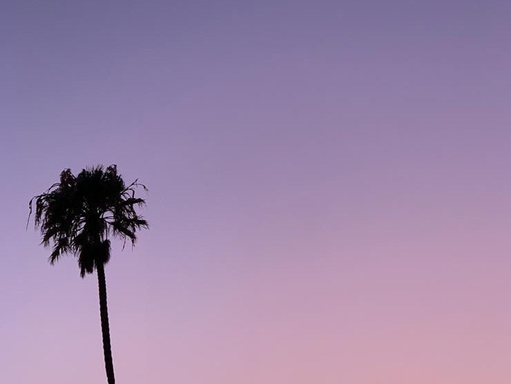 Sogni da Los Angeles - Vicode
