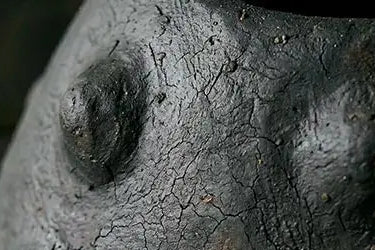 dettaglio di vaso realizzato con tecniche antiche materico, nero
