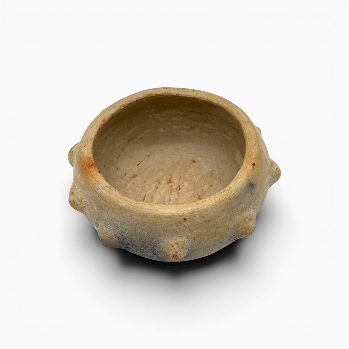 Finitura lucidata con conchiglie marine, tecnica riconosciuta Patrimonio UNESCO.