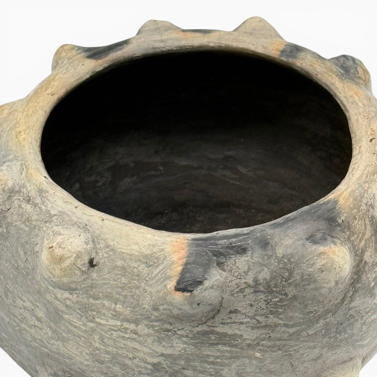 Profilo schiacciato e protettivo della "Corona di Cenere", gioco di ombre e volumi.