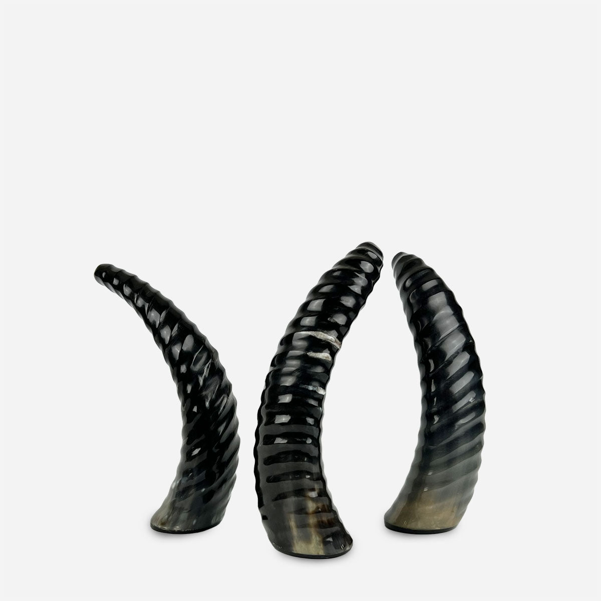 Mano che sfiora le incisioni della Scultura Corno Africano per apprezzarne la texture.