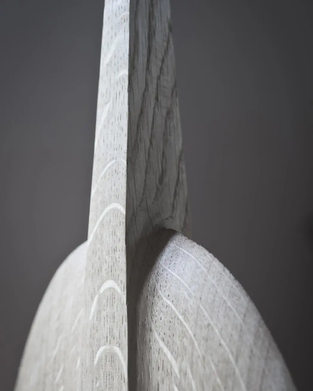 Dettaglio ravvicinato di una scultura in legno di Estebanland, che evidenzia la texture e le venature del materiale.