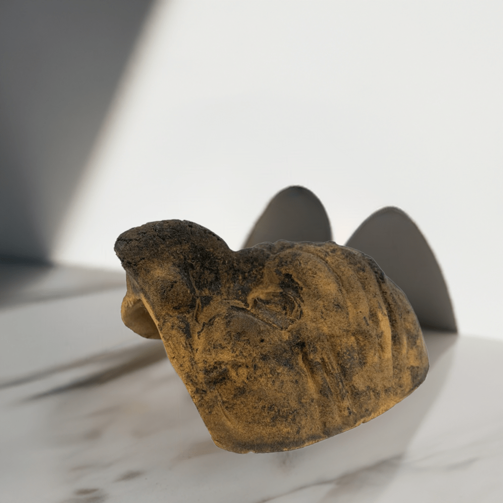 La maschera antica di Pulcinella esposta in una teca da collezione per preservarla.