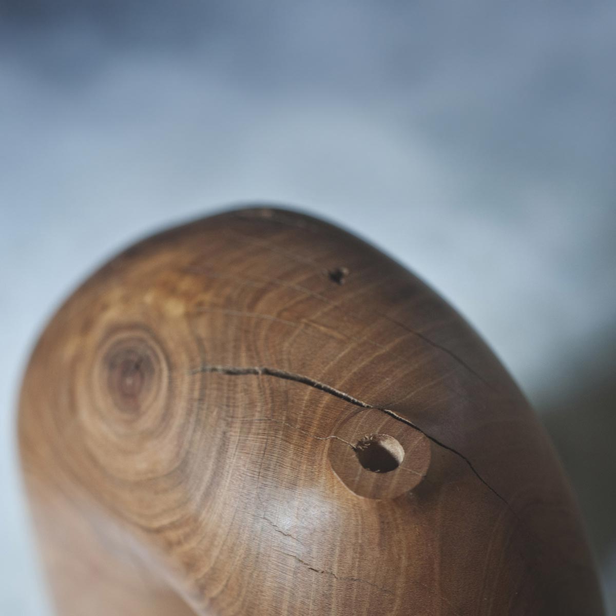 Profilo della scultura ad arco che evidenzia la sua linea sinuosa e continua.