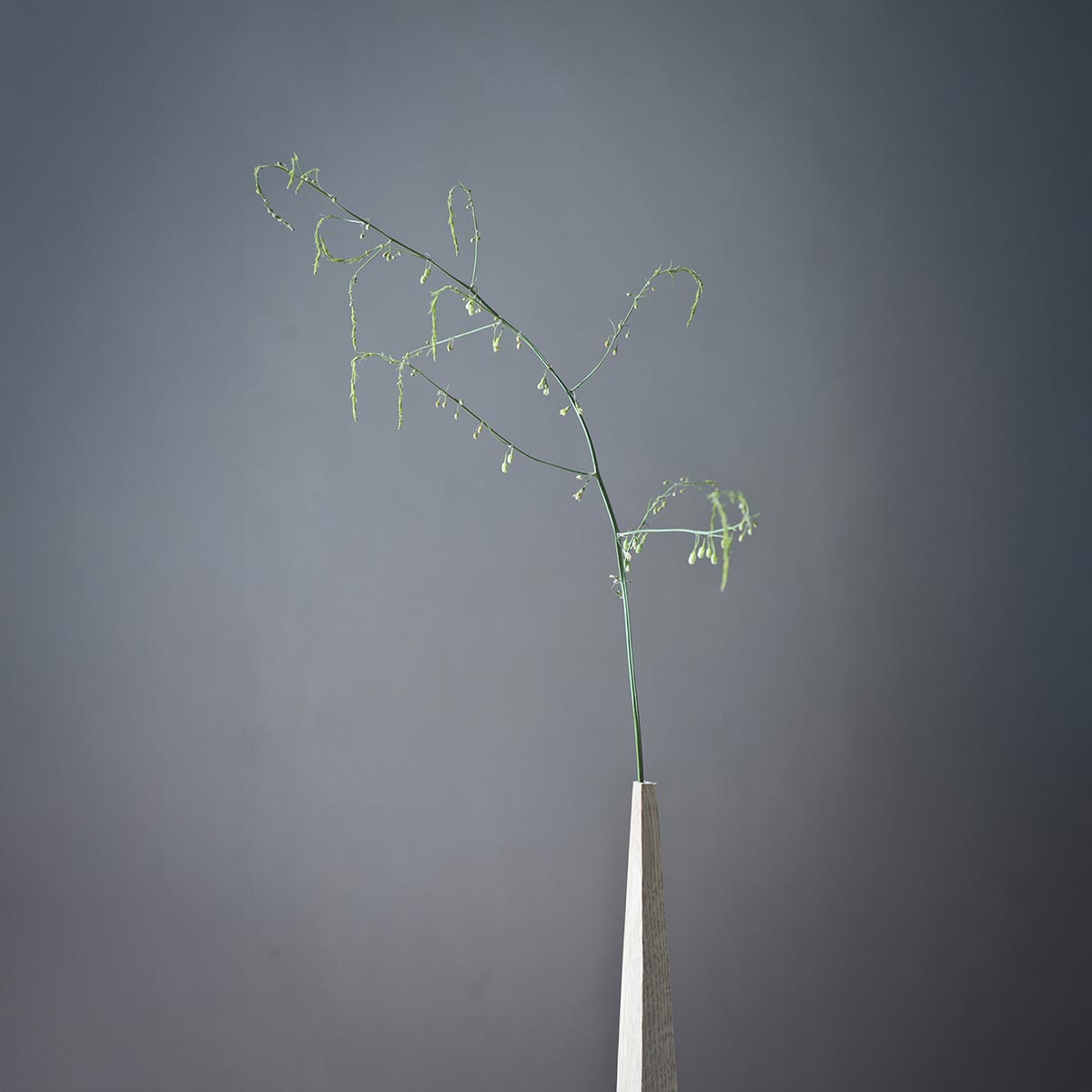 La scultura di Estebanland posizionata su un tavolino basso in un interno minimalista.