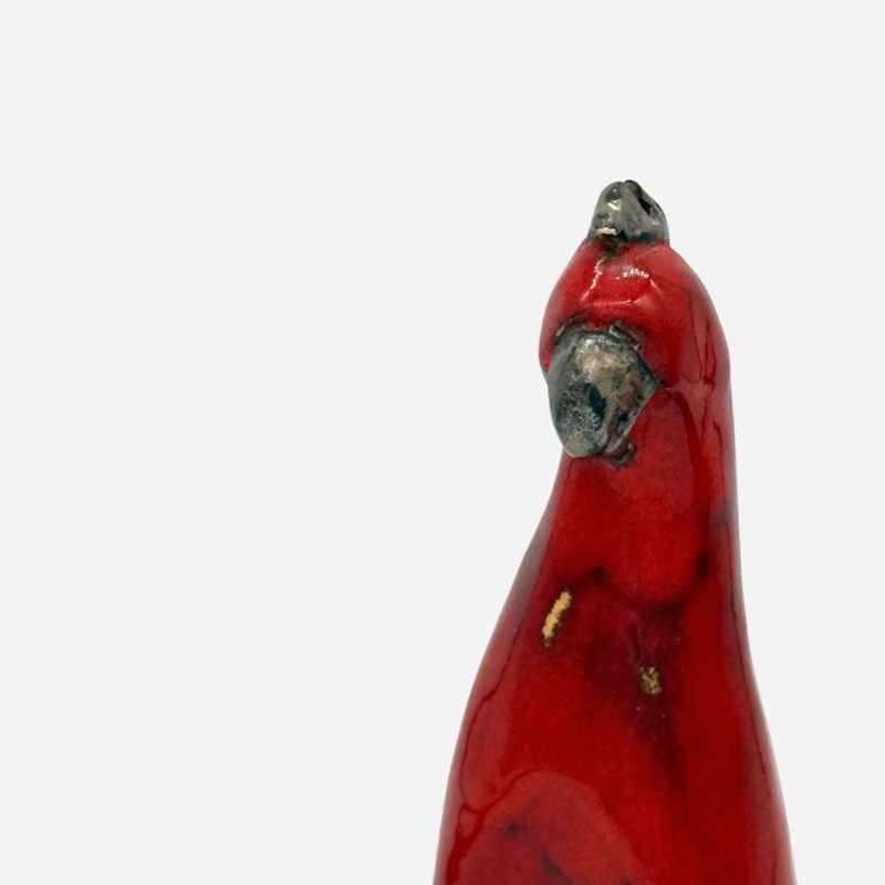 Vista posteriore della coppia di Pappagallini Scarlet Duo per mostrare la loro forma completa.