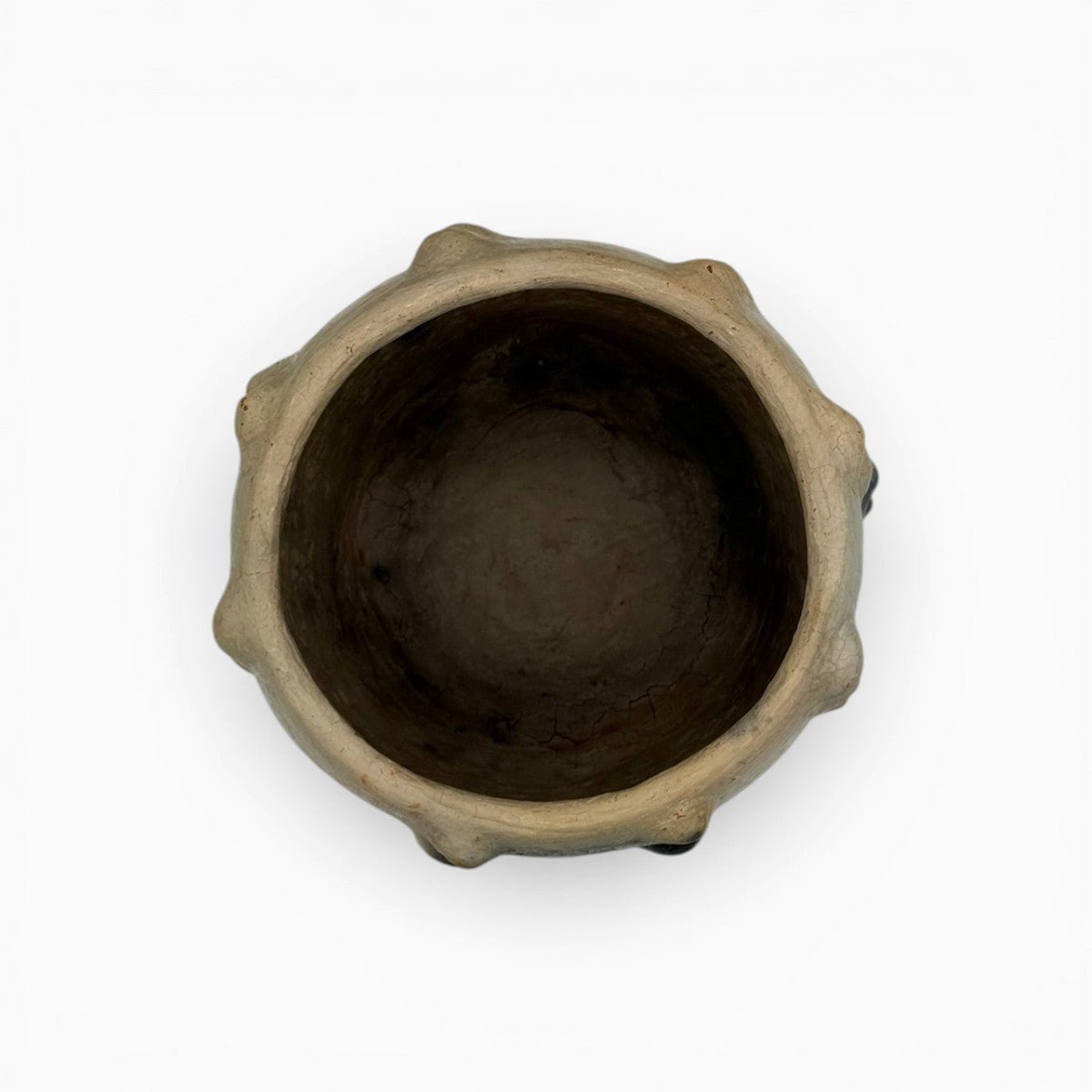 Profilo del vaso calice che mostra la successione ritmica delle decorazioni a rilievo.