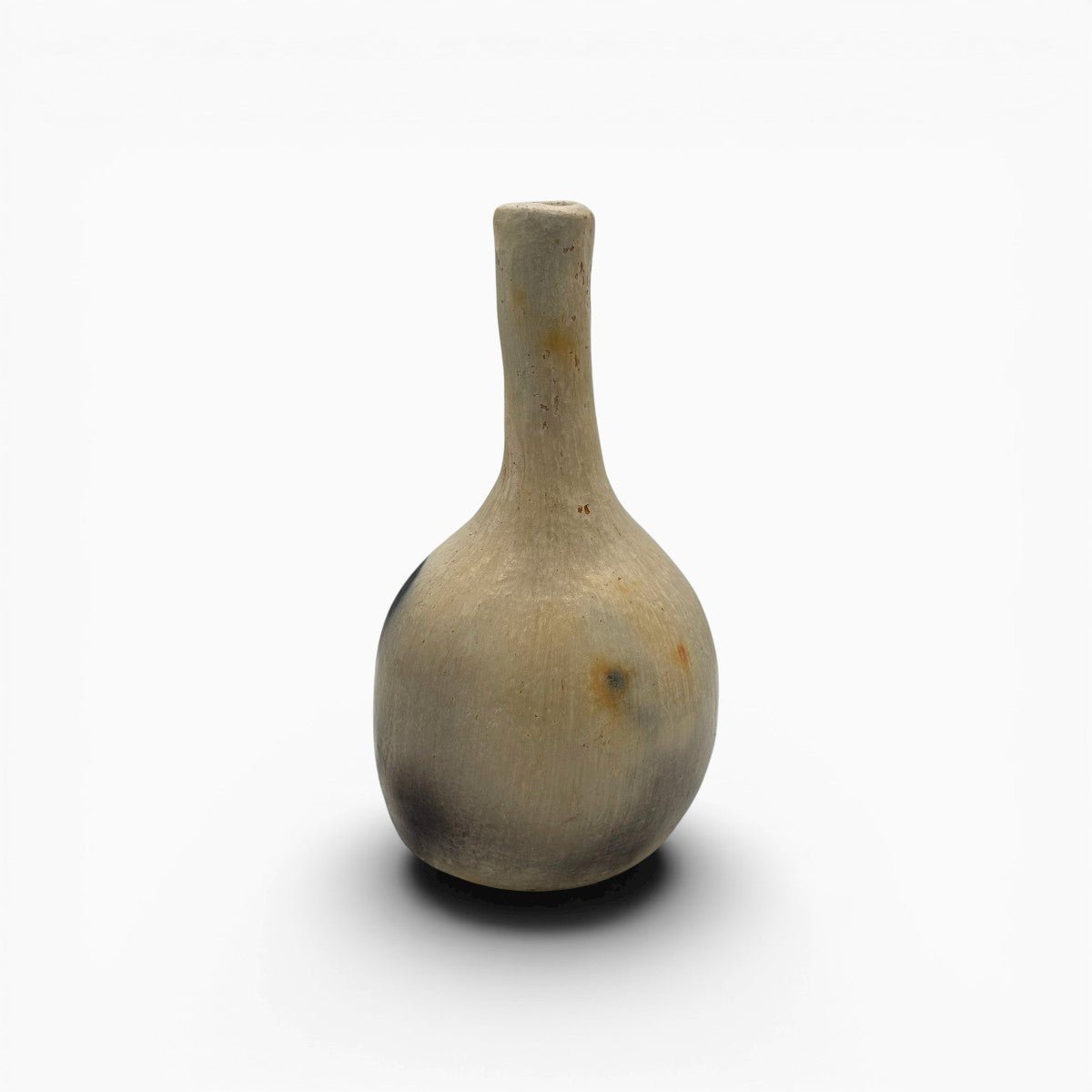 Superficie in argilla avorio lucidata con conchiglie, texture serica della ceramica Najed.