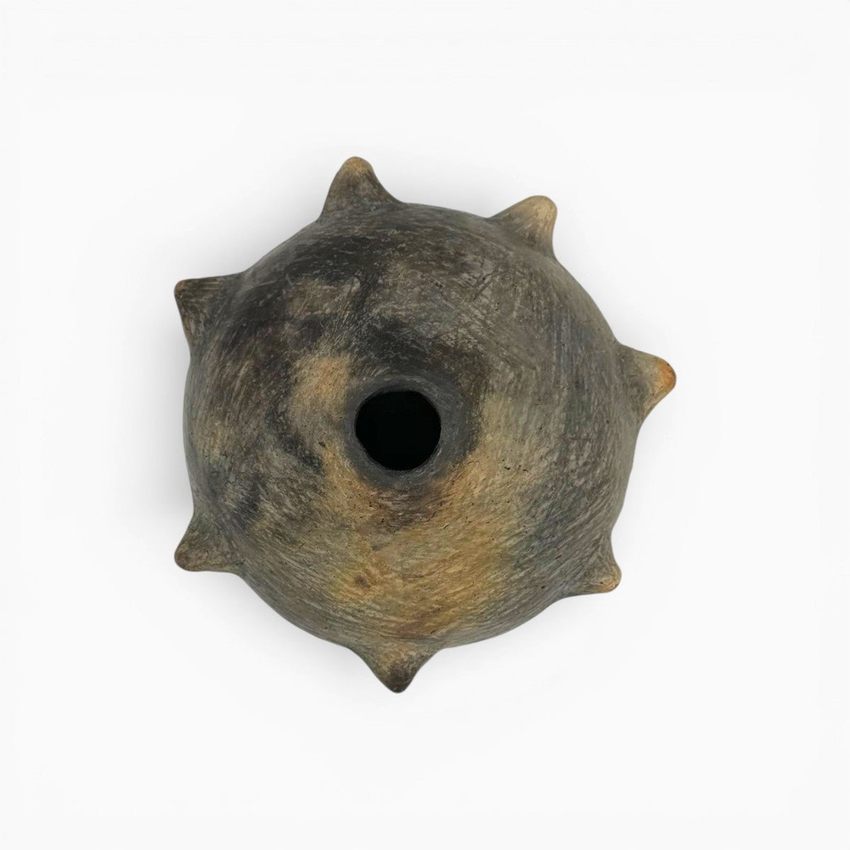 Profilo del vaso "Riccio di Terra", un contrasto tra curve morbide e spine scultoree.