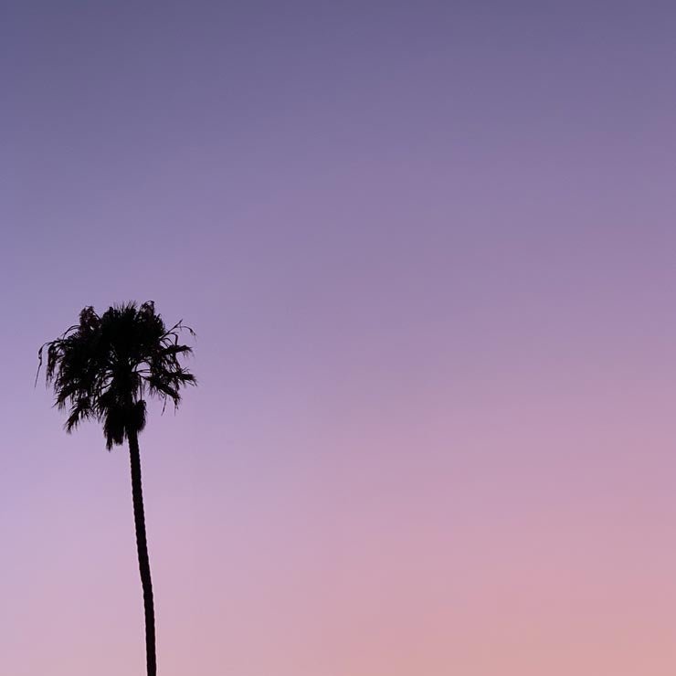 Sogni da Los Angeles - Vicode