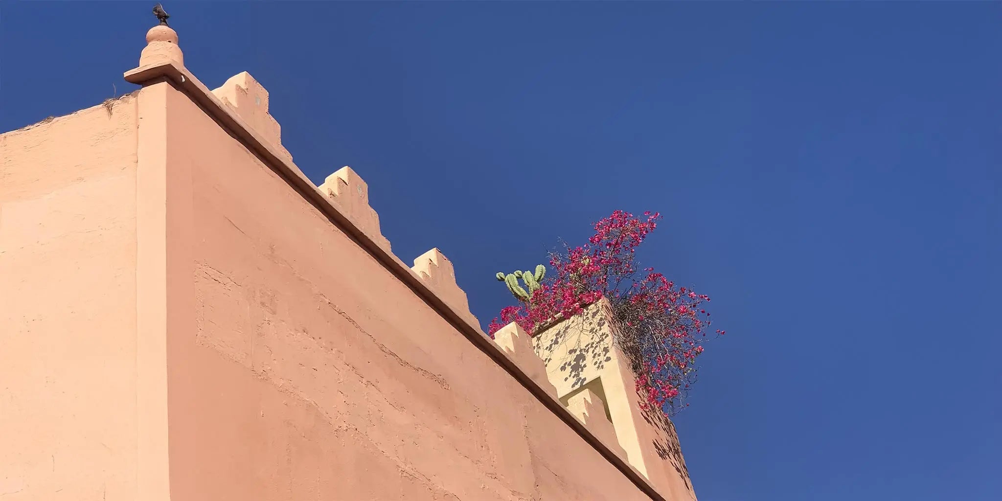 Architettura mediterranea color ocra con cactus e bouganville sotto un cielo blu