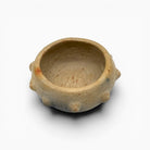 Finitura lucidata con conchiglie marine, tecnica riconosciuta Patrimonio UNESCO.