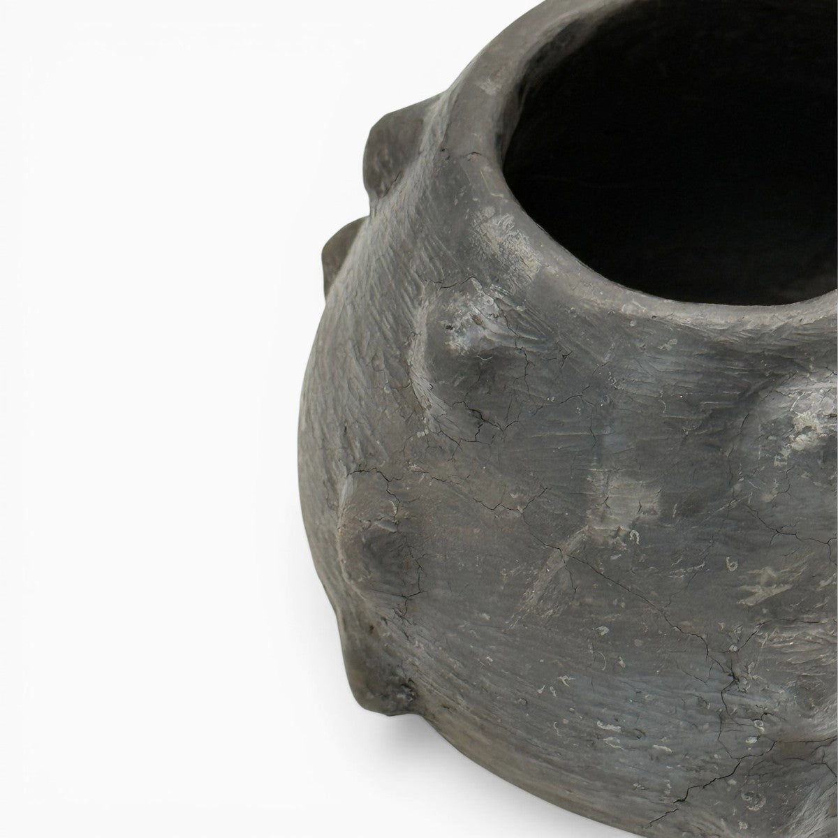 Superficie tattile lucidata con conchiglie marine, Patrimonio UNESCO di Sejnane.