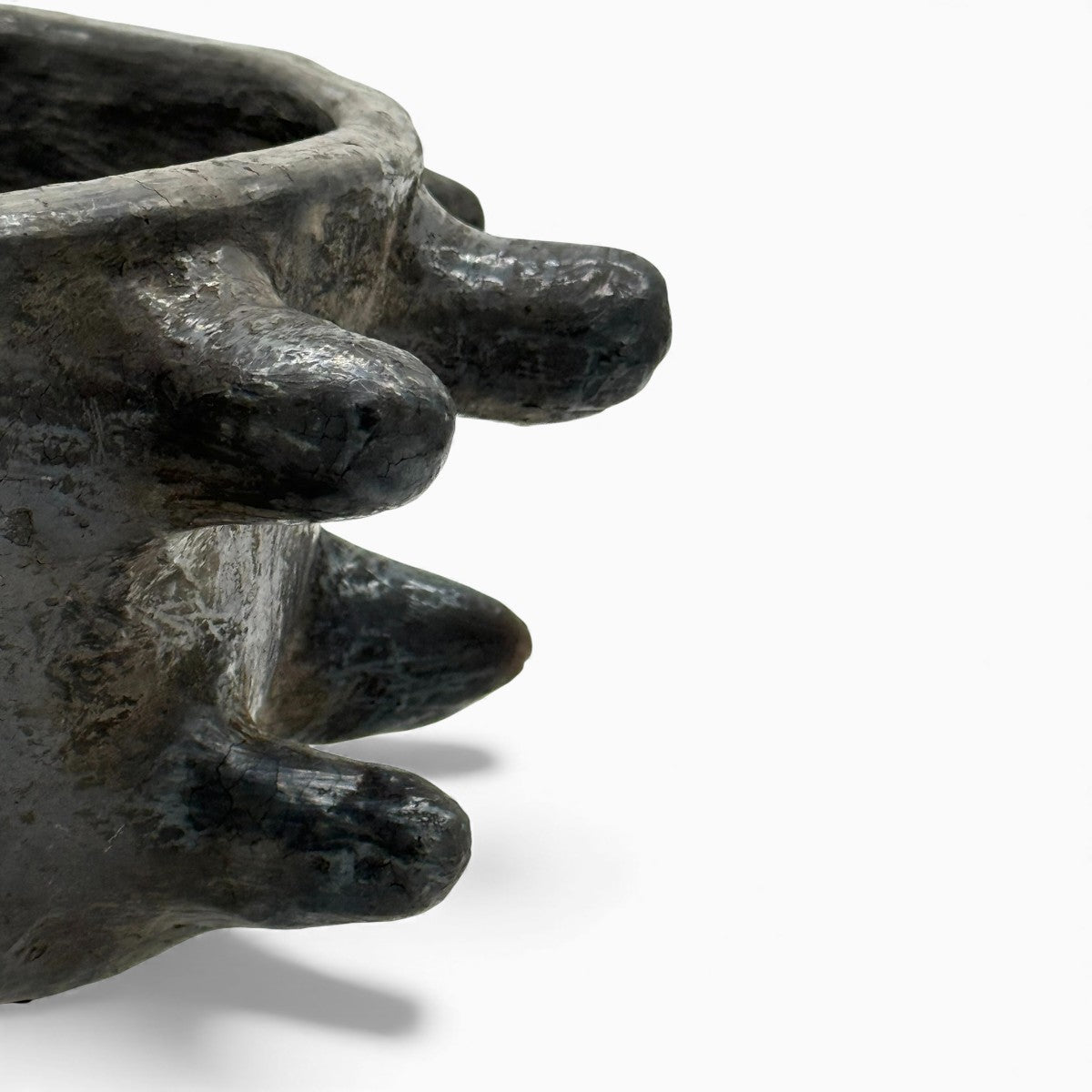Profilo laterale con spine distintive della ciotola scultura design organico