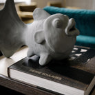 Scultura pesce CASAKŪ in ceramica grigia con finitura gessosa opaca GESSO