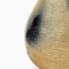 Sfumature nero carbone isolate nate dall'imprevedibile cottura ancestrale sotto paglia.