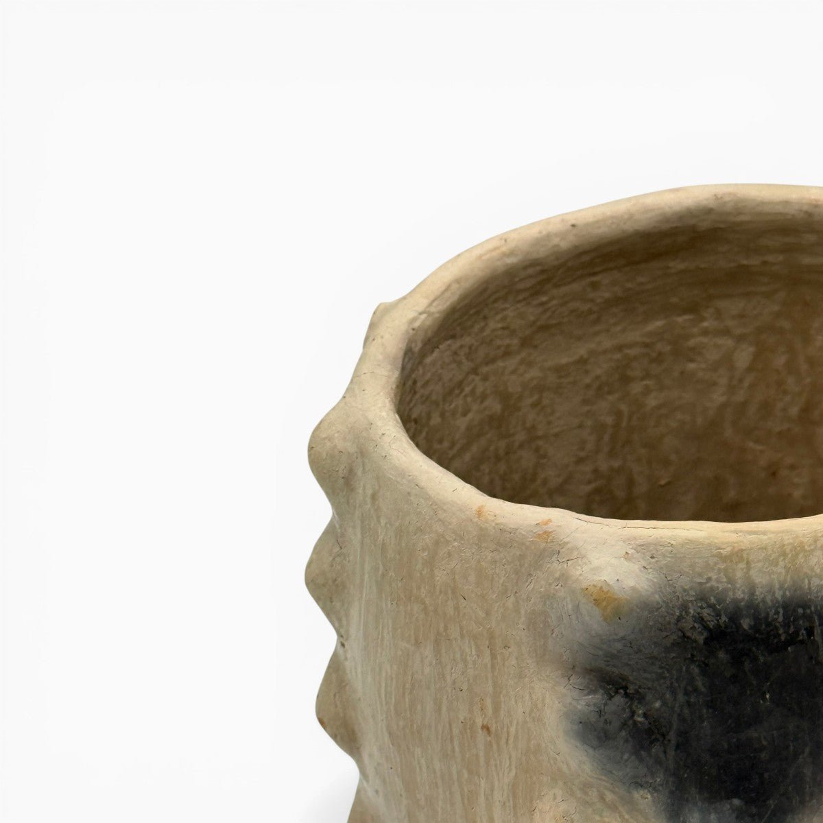 Profilo del vaso calice che mostra la successione ritmica delle decorazioni a rilievo.