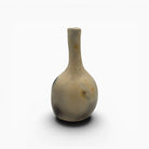 Superficie in argilla avorio lucidata con conchiglie, texture serica della ceramica Najed.