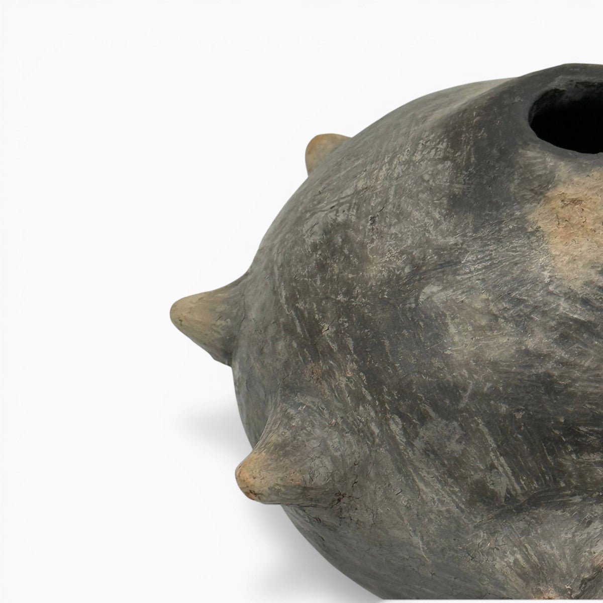 Finitura lucidata a conchiglia sulla superficie porosa del vaso scultura spinosa Mufida.
