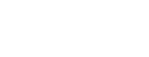 logo vicode white